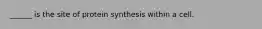 ______ is the site of protein synthesis within a cell.