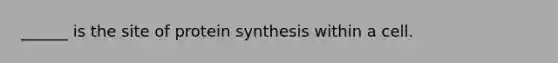 ______ is the site of protein synthesis within a cell.