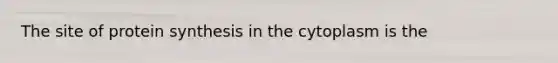 The site of protein synthesis in the cytoplasm is the