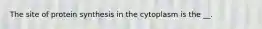 The site of protein synthesis in the cytoplasm is the __.