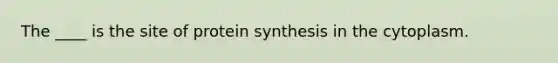 The ____ is the site of protein synthesis in the cytoplasm.