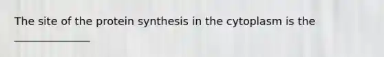 The site of the protein synthesis in the cytoplasm is the ______________