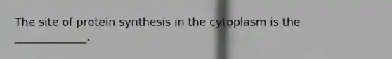 The site of protein synthesis in the cytoplasm is the _____________.