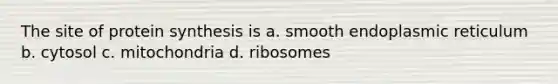 The site of protein synthesis is a. smooth endoplasmic reticulum b. cytosol c. mitochondria d. ribosomes