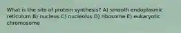 What is the site of protein synthesis? A) smooth endoplasmic reticulum B) nucleus C) nucleolus D) ribosome E) eukaryotic chromosome