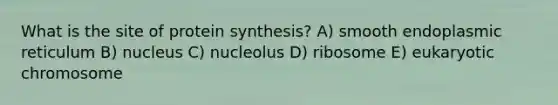 What is the site of protein synthesis? A) smooth endoplasmic reticulum B) nucleus C) nucleolus D) ribosome E) eukaryotic chromosome