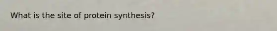 What is the site of <a href='https://www.questionai.com/knowledge/kVyphSdCnD-protein-synthesis' class='anchor-knowledge'>protein synthesis</a>?