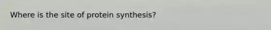 Where is the site of protein synthesis?