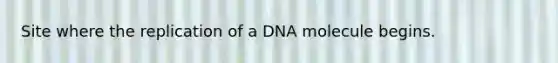 Site where the replication of a DNA molecule begins.