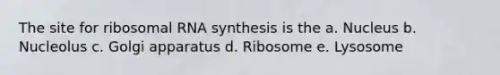 The site for <a href='https://www.questionai.com/knowledge/k4lWAiAI7W-ribosomal-rna' class='anchor-knowledge'>ribosomal rna</a> synthesis is the a. Nucleus b. Nucleolus c. Golgi apparatus d. Ribosome e. Lysosome