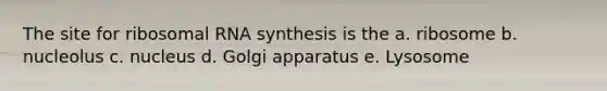 The site for ribosomal RNA synthesis is the a. ribosome b. nucleolus c. nucleus d. Golgi apparatus e. Lysosome