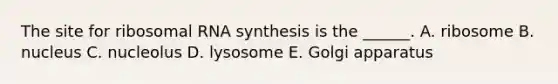 The site for ribosomal RNA synthesis is the ______. A. ribosome B. nucleus C. nucleolus D. lysosome E. Golgi apparatus