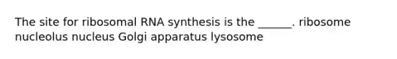 The site for ribosomal RNA synthesis is the ______. ribosome nucleolus nucleus Golgi apparatus lysosome