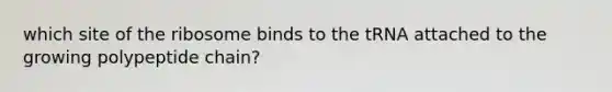 which site of the ribosome binds to the tRNA attached to the growing polypeptide chain?