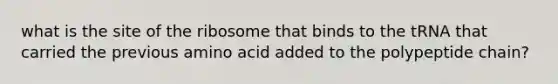 what is the site of the ribosome that binds to the tRNA that carried the previous amino acid added to the polypeptide chain?