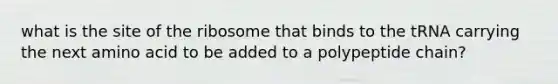 what is the site of the ribosome that binds to the tRNA carrying the next amino acid to be added to a polypeptide chain?