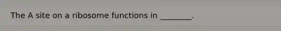 The A site on a ribosome functions in ________.