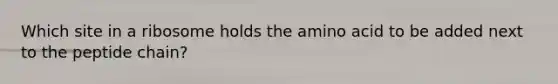 Which site in a ribosome holds the amino acid to be added next to the peptide chain?