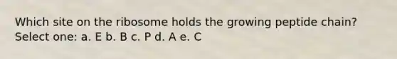 Which site on the ribosome holds the growing peptide chain? Select one: a. E b. B c. P d. A e. C