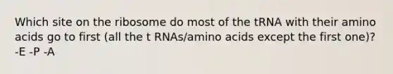 Which site on the ribosome do most of the tRNA with their amino acids go to first (all the t RNAs/amino acids except the first one)? -E -P -A