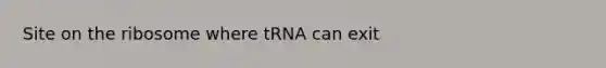 Site on the ribosome where tRNA can exit