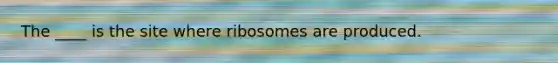 The ____ is the site where ribosomes are produced.