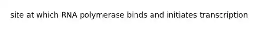 ​site at which RNA polymerase binds and initiates transcription