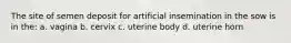 The site of semen deposit for artificial insemination in the sow is in the: a. vagina b. cervix c. uterine body d. uterine horn