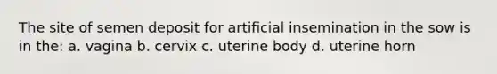 The site of semen deposit for artificial insemination in the sow is in the: a. vagina b. cervix c. uterine body d. uterine horn