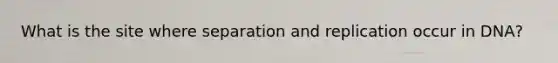 What is the site where separation and replication occur in DNA?