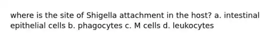 where is the site of Shigella attachment in the host? a. intestinal epithelial cells b. phagocytes c. M cells d. leukocytes