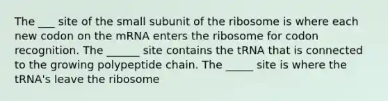 The ___ site of the small subunit of the ribosome is where each new codon on the mRNA enters the ribosome for codon recognition. The ______ site contains the tRNA that is connected to the growing polypeptide chain. The _____ site is where the tRNA's leave the ribosome