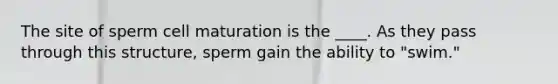 The site of sperm cell maturation is the ____. As they pass through this structure, sperm gain the ability to "swim."