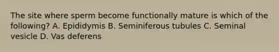 The site where sperm become functionally mature is which of the following? A. Epididymis B. Seminiferous tubules C. Seminal vesicle D. Vas deferens