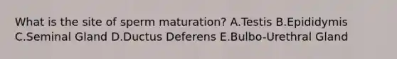 What is the site of sperm maturation? A.Testis B.Epididymis C.Seminal Gland D.Ductus Deferens E.Bulbo-Urethral Gland