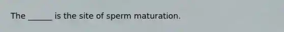 The ______ is the site of sperm maturation.