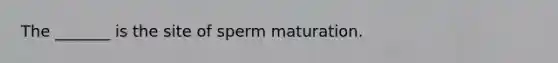 The _______ is the site of sperm maturation.