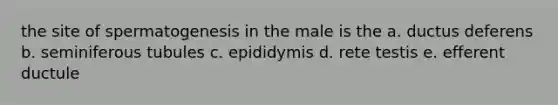 the site of spermatogenesis in the male is the a. ductus deferens b. seminiferous tubules c. epididymis d. rete testis e. efferent ductule