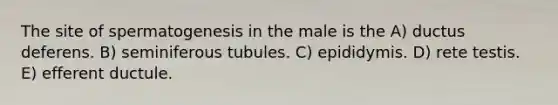 The site of spermatogenesis in the male is the A) ductus deferens. B) seminiferous tubules. C) epididymis. D) rete testis. E) efferent ductule.