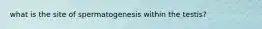 what is the site of spermatogenesis within the testis?