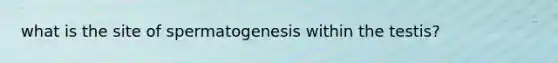 what is the site of spermatogenesis within the testis?