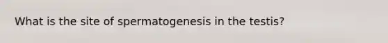 What is the site of spermatogenesis in the testis?