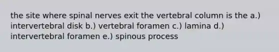 the site where spinal nerves exit the vertebral column is the a.) intervertebral disk b.) vertebral foramen c.) lamina d.) intervertebral foramen e.) spinous process