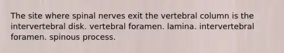 The site where spinal nerves exit the vertebral column is the intervertebral disk. vertebral foramen. lamina. intervertebral foramen. spinous process.