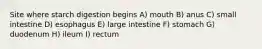 Site where starch digestion begins A) mouth B) anus C) small intestine D) esophagus E) large intestine F) stomach G) duodenum H) ileum I) rectum