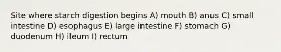 Site where starch digestion begins A) mouth B) anus C) small intestine D) esophagus E) large intestine F) stomach G) duodenum H) ileum I) rectum