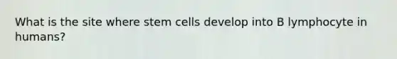 What is the site where stem cells develop into B lymphocyte in humans?