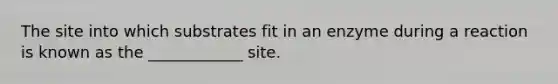 The site into which substrates fit in an enzyme during a reaction is known as the ____________ site.