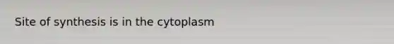 Site of synthesis is in the cytoplasm