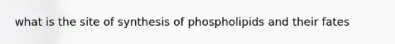 what is the site of synthesis of phospholipids and their fates